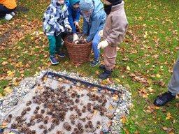 sciezka_sensoryczna 11